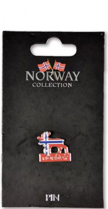 Pins elan norway 19046