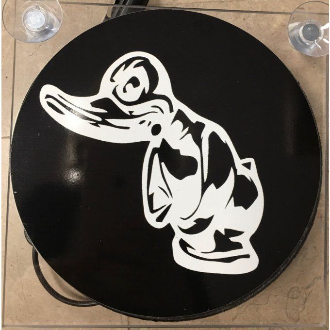Plaque lumineuse duck 