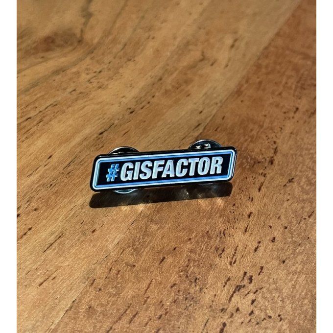 Pins GISFACTOR