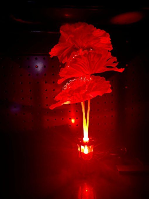 Fleur rouge en USB + USB/C