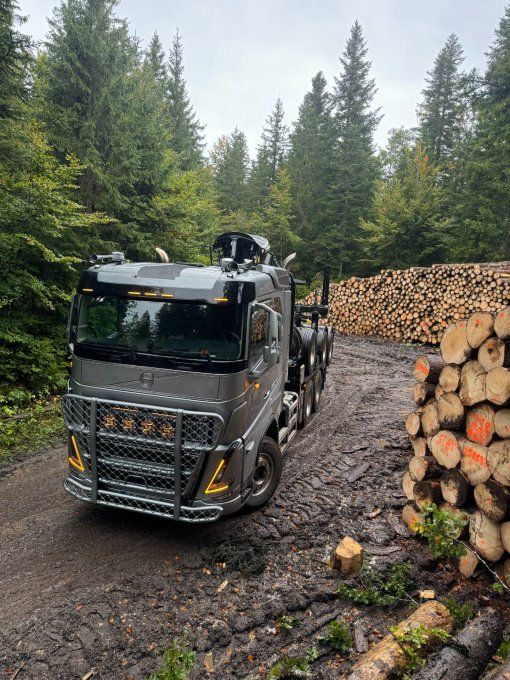 Pare buffle adaptable FH5  en alu