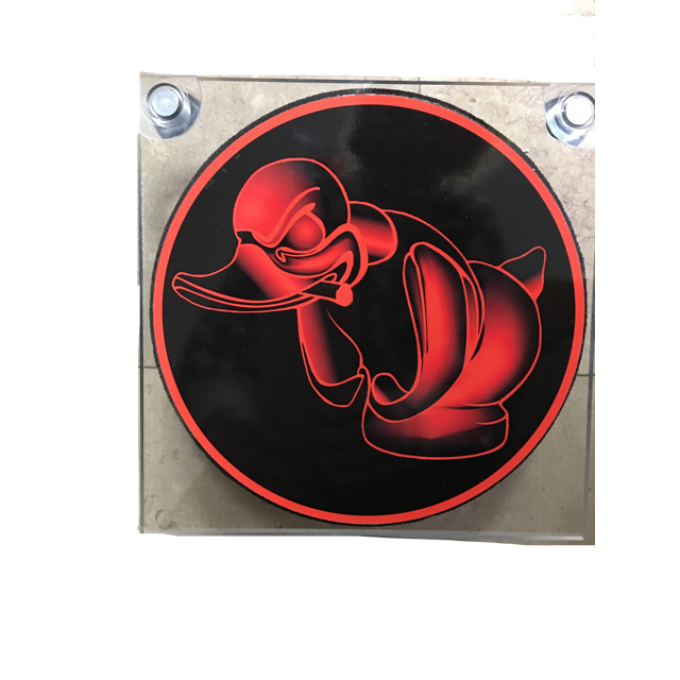 Plaque lumineuse duck