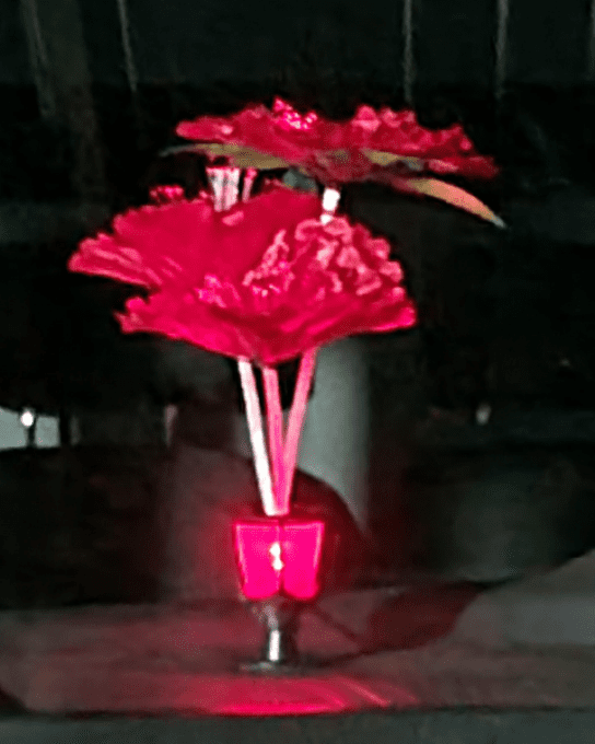 Fleur rouge éclairage 12/32 volt